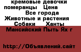 кремовые девочки померанцы › Цена ­ 30 000 - Все города Животные и растения » Собаки   . Ханты-Мансийский,Пыть-Ях г.